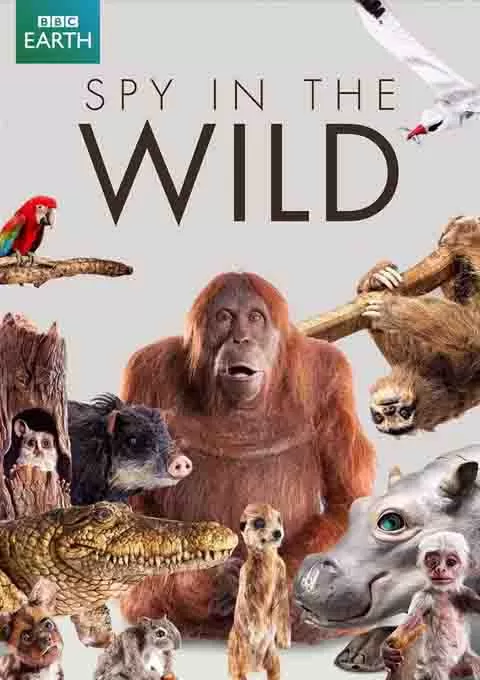 荒野间谍 第一季